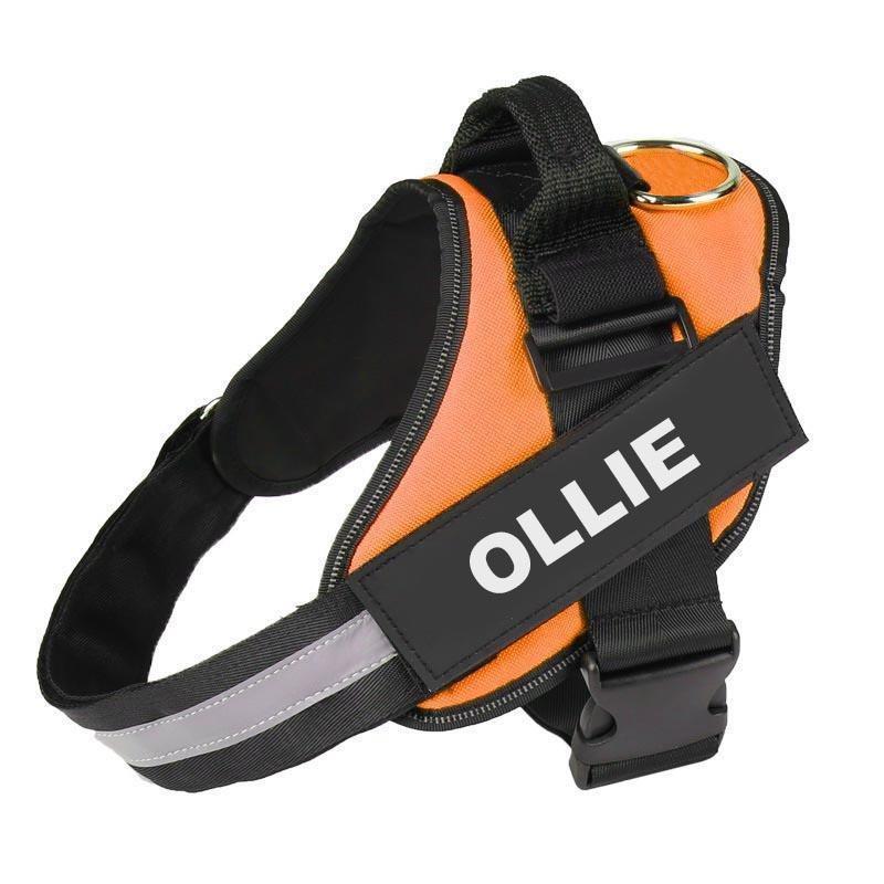 Spectrum Shop™ - Personalized No Pull Dog Harness