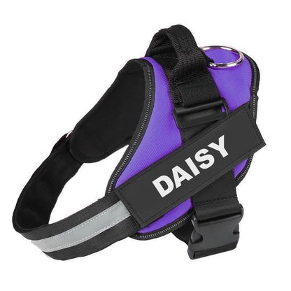 Spectrum Shop™ - Personalized No Pull Dog Harness