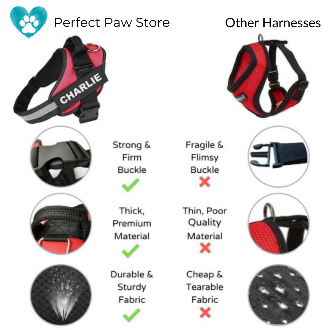 Spectrum Shop™ - Personalized No Pull Dog Harness