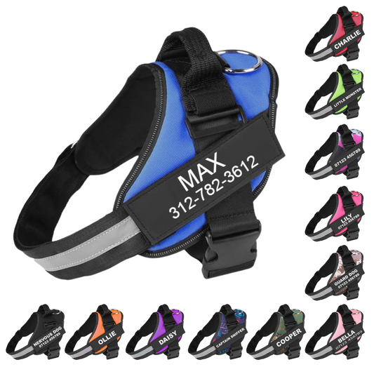 Spectrum Shop™ - Personalized No Pull Dog Harness