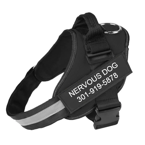 Spectrum Shop™ - Personalized No Pull Dog Harness