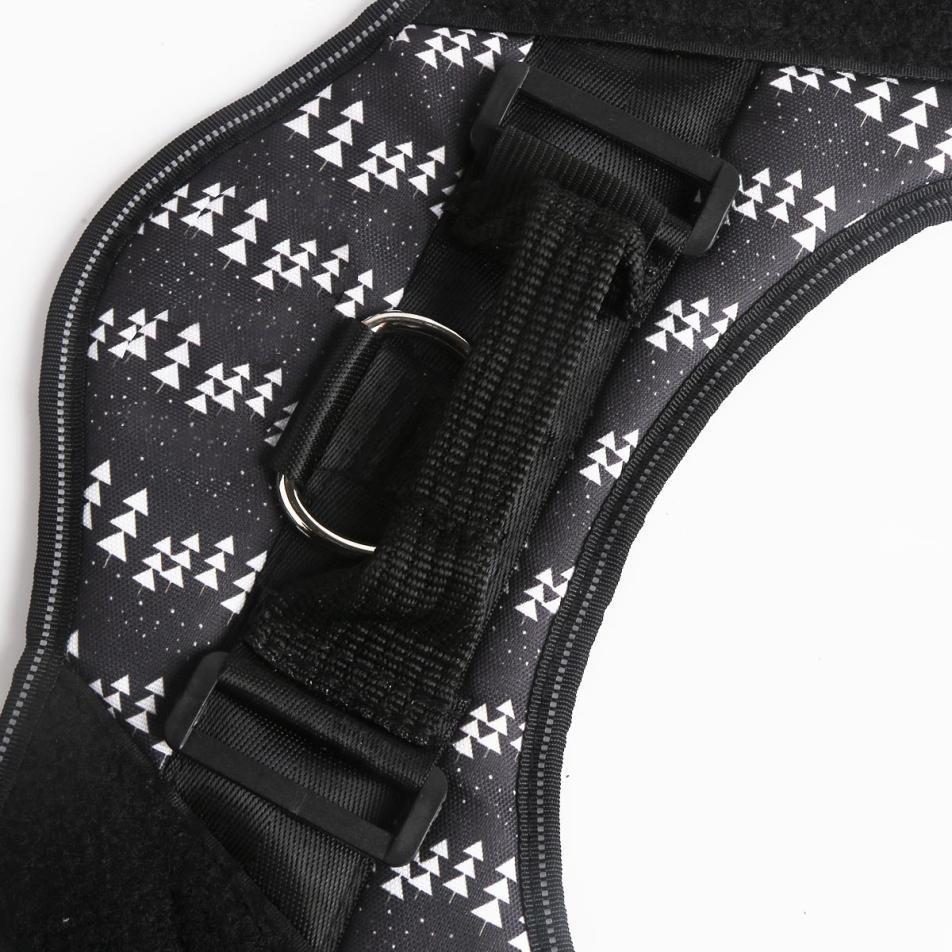 Spectrum Shop™ - Personalized No Pull Dog Harness